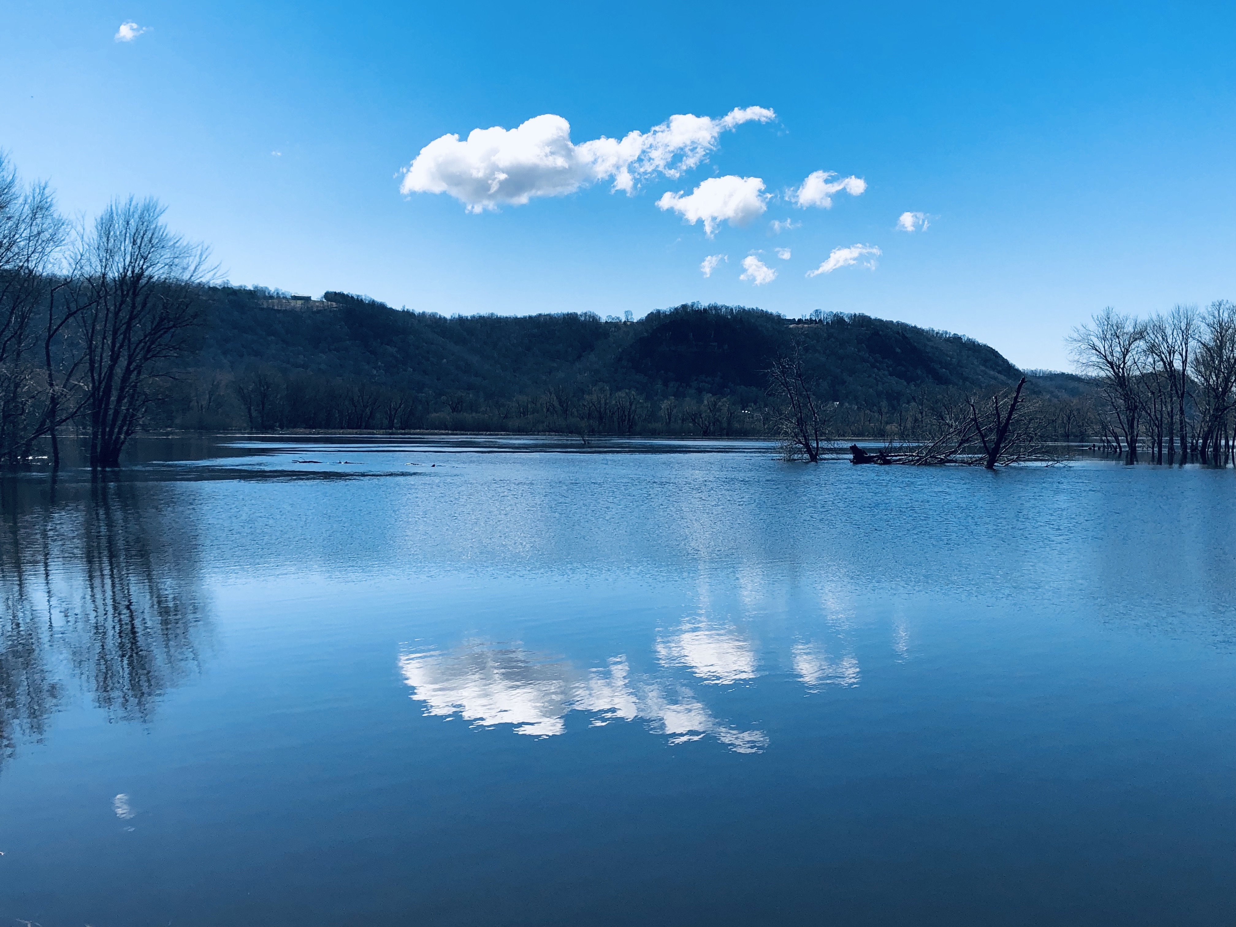 Category: <span>Faithful</span>