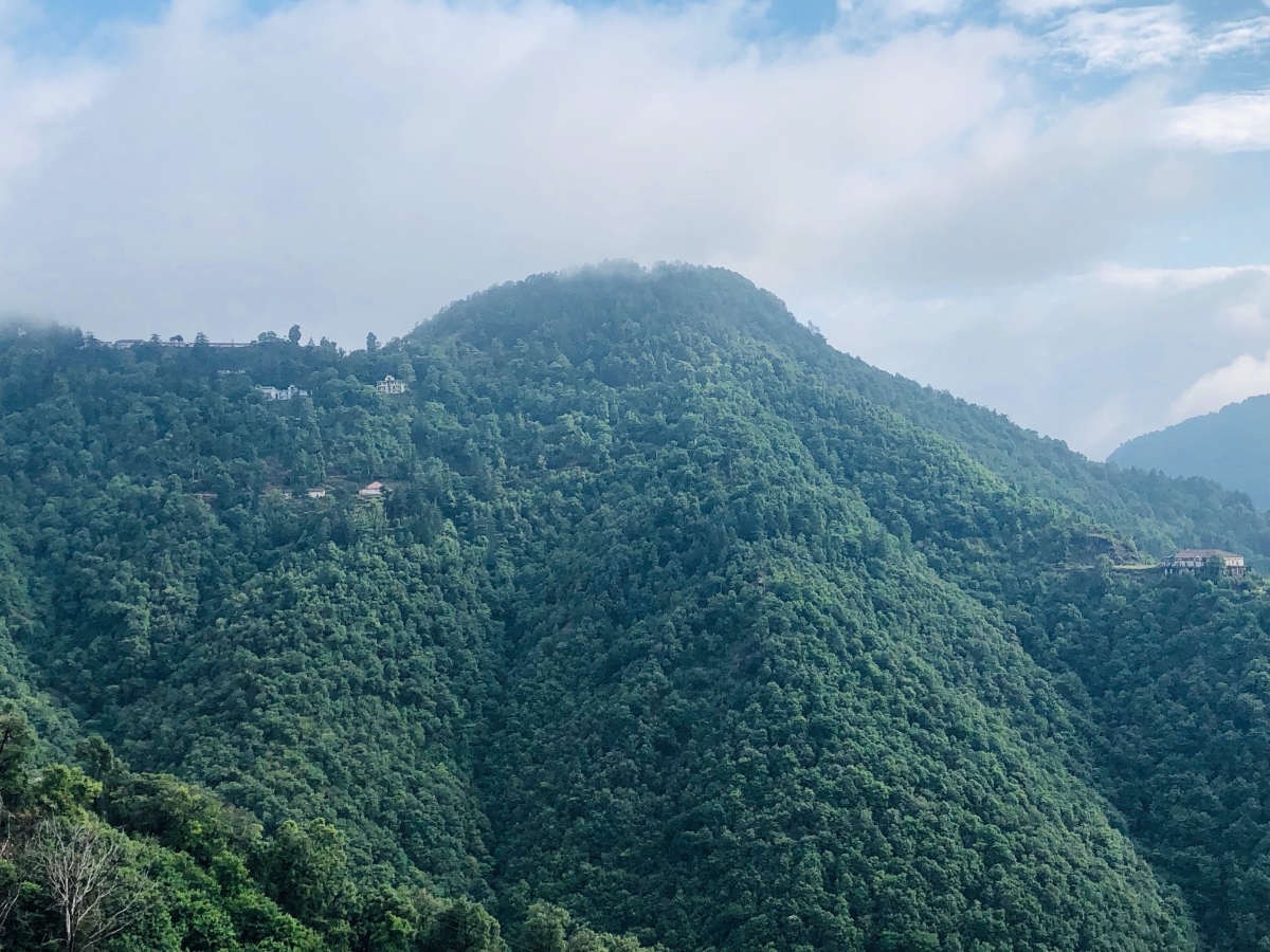 Navigating Change Part II: Stewardship vs Ownership