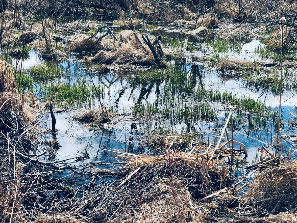 Certified Best Friend Part I B: The Eyes And Ears Of Listening