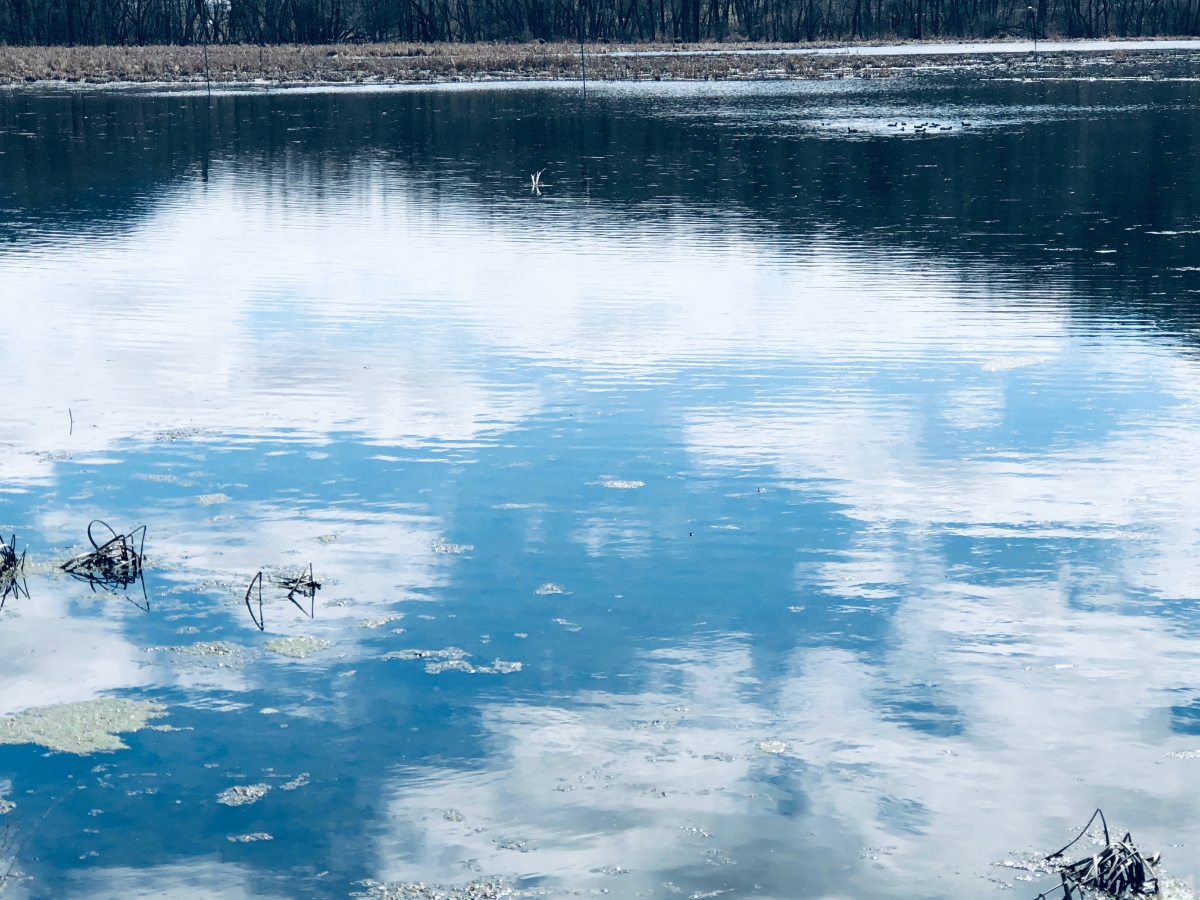 Faithful. Fruitful. Forgiven