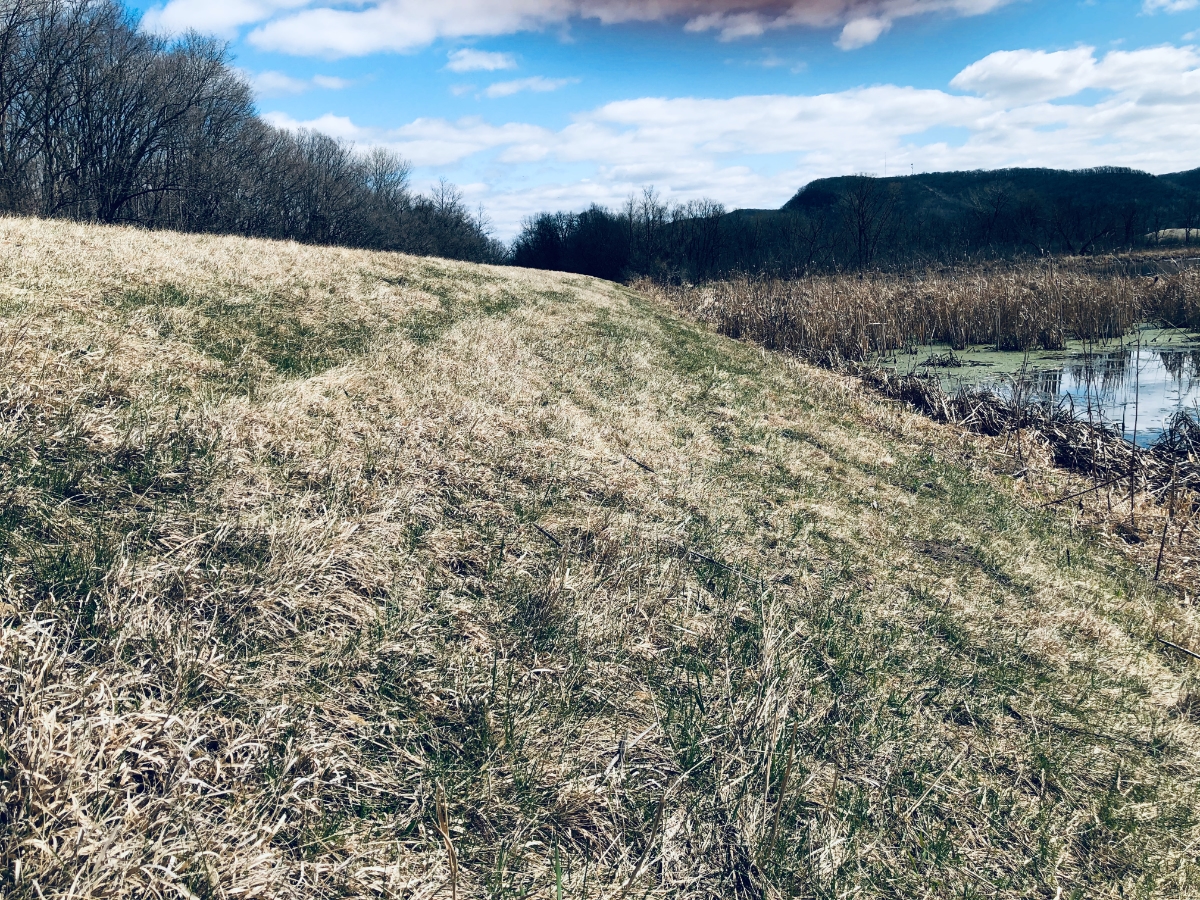 An Abundant Heart Part I: Mindset